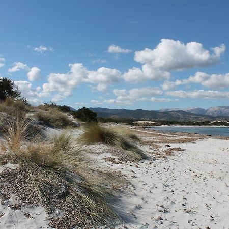 Vista Sul Mare E Tavolara Budoniaffitti 포르토산파울로 외부 사진