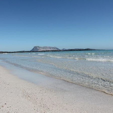 Vista Sul Mare E Tavolara Budoniaffitti 포르토산파울로 외부 사진
