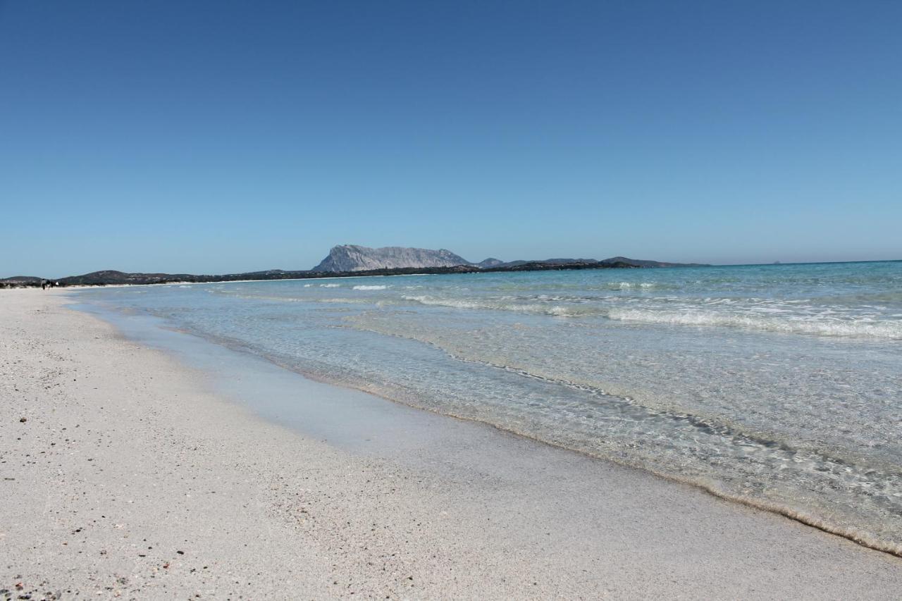 Vista Sul Mare E Tavolara Budoniaffitti 포르토산파울로 외부 사진