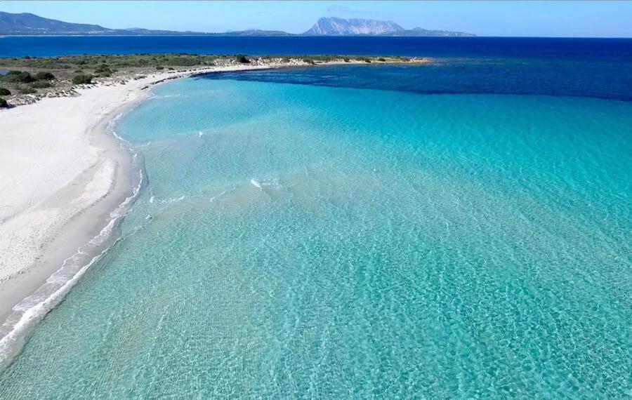 Vista Sul Mare E Tavolara Budoniaffitti 포르토산파울로 외부 사진