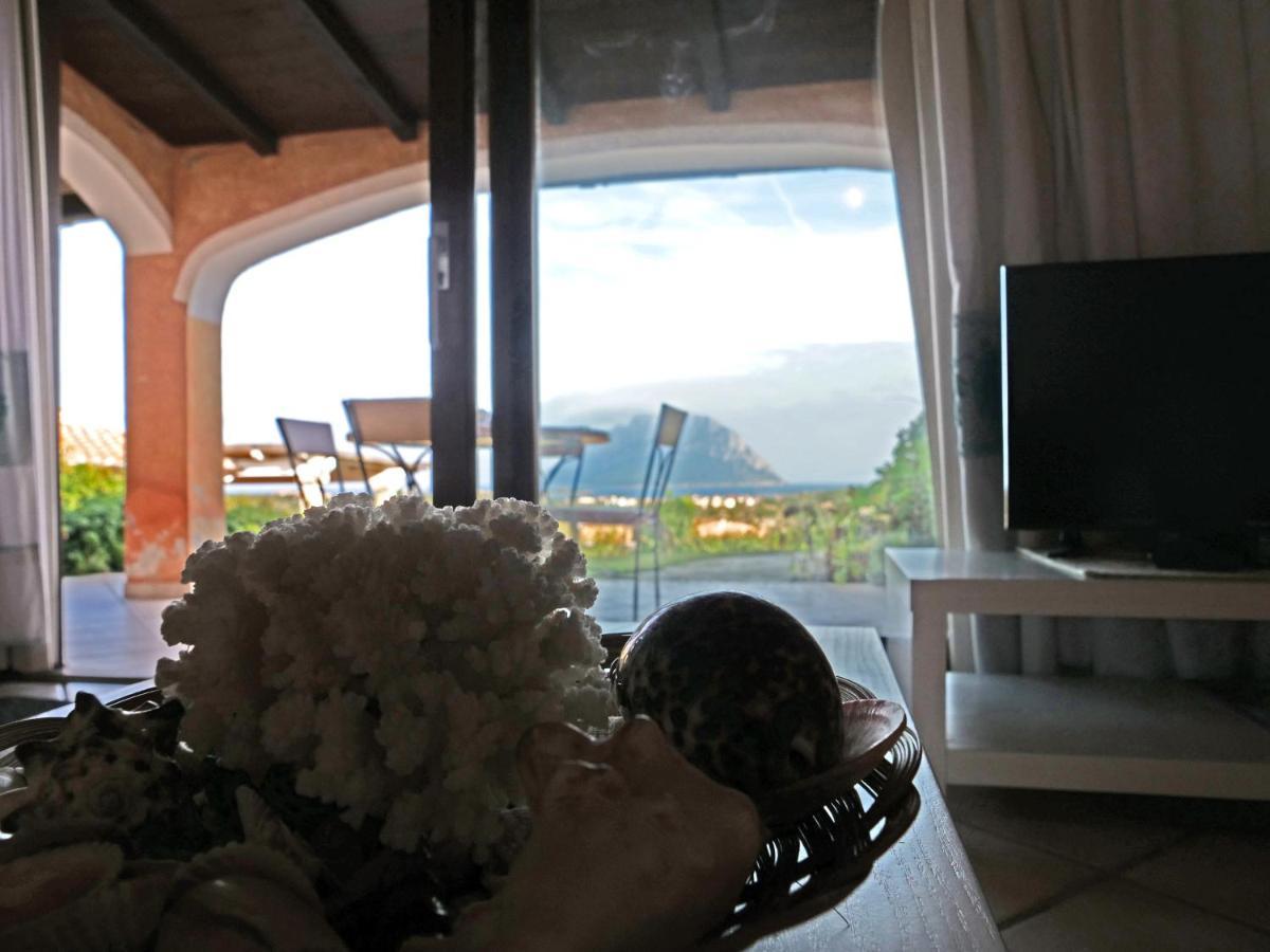 Vista Sul Mare E Tavolara Budoniaffitti 포르토산파울로 외부 사진
